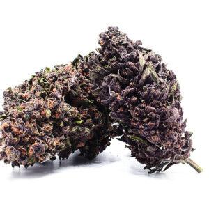 CBD Blüten Premium Purple Jack 6g